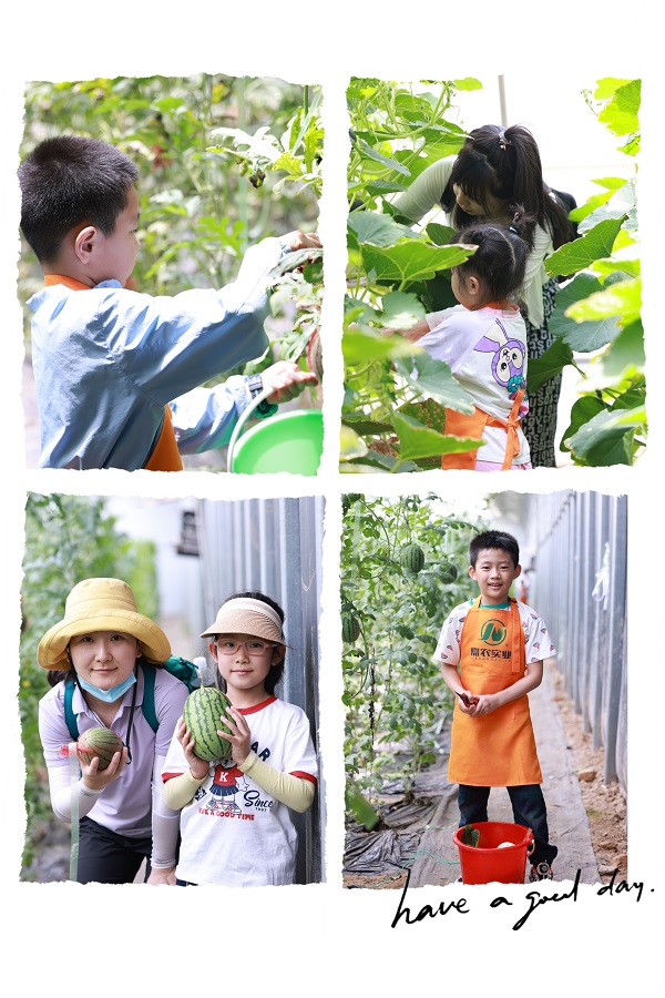 1686707278280860.jpg 222.jpg