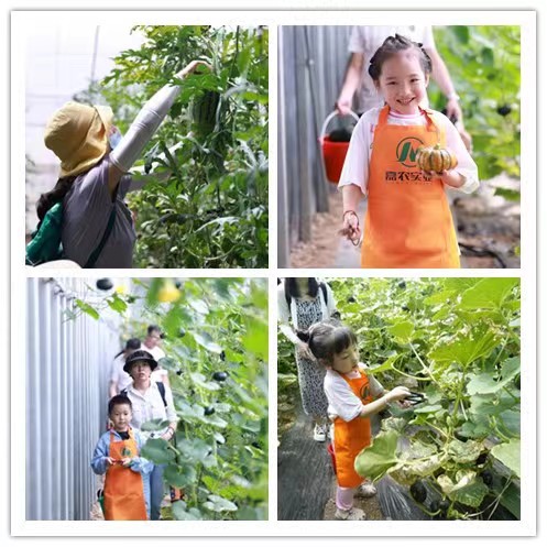 1686707313619439.jpg 333.jpg